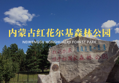 内蒙古红花尔基森林公园